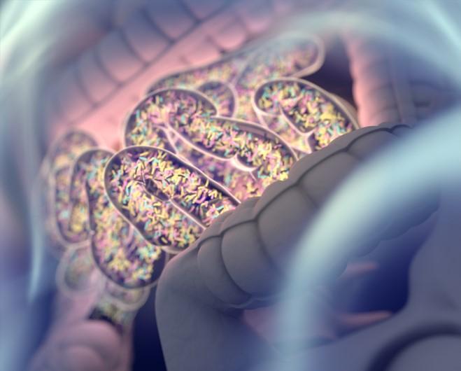 Gut microbiome