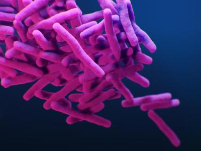 Mycobacterium tuberculosis